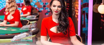 stake casino